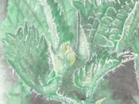 The Nettle Epoch 20/20 – Part 2